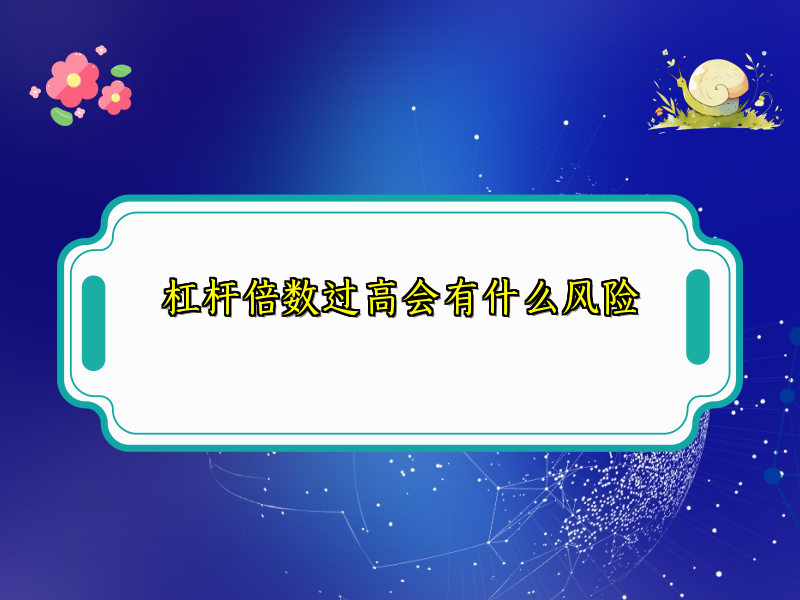 杠杆倍数过高会有什么风险
